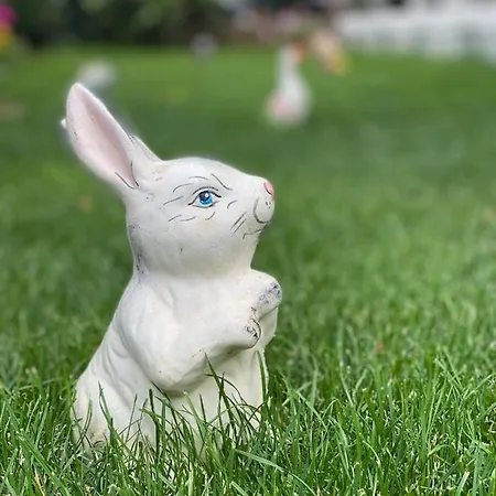 Kostovi * Kiten (Burgas)