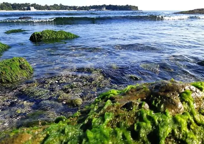 Casa de hóspedes Kostovi *